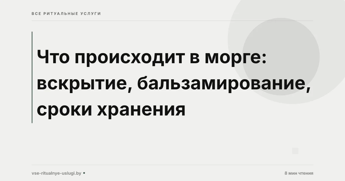 Что происходит в морге: процедуры, сроки и что нужно знать семье